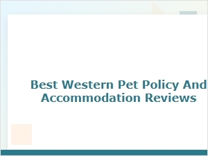 A Review of Best Western Pet-Friendly Stays