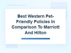 Comparing Pet Policies at Best Western, Marriott, and Hilton