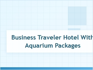 Guide to Hotels with Aquarium Packages for Business Travelers
